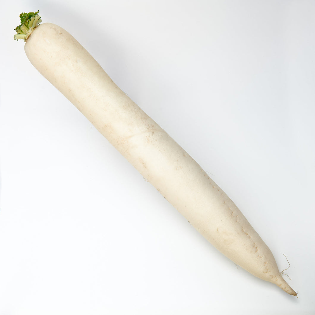 Fresh Daikon, White Radish