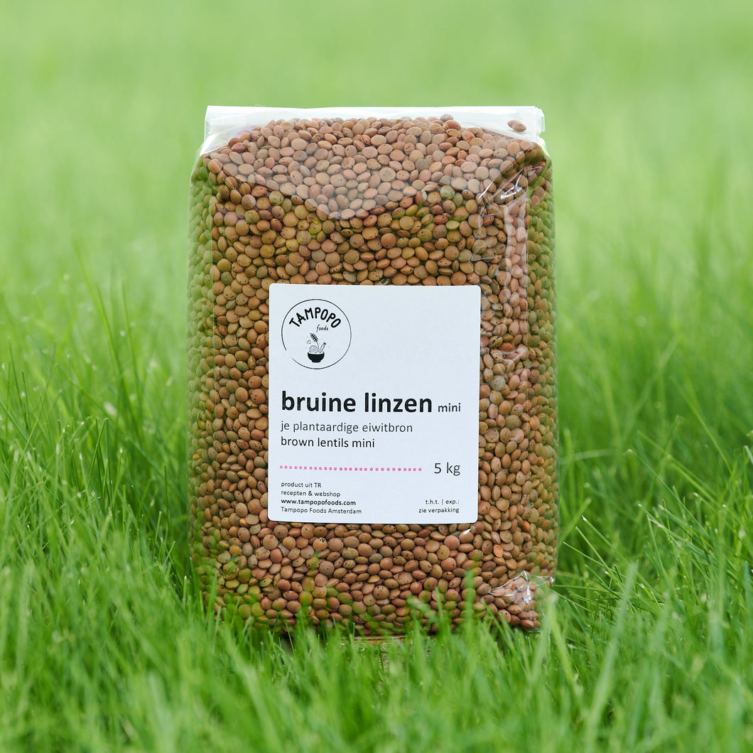 Brown Lentils, Mini *